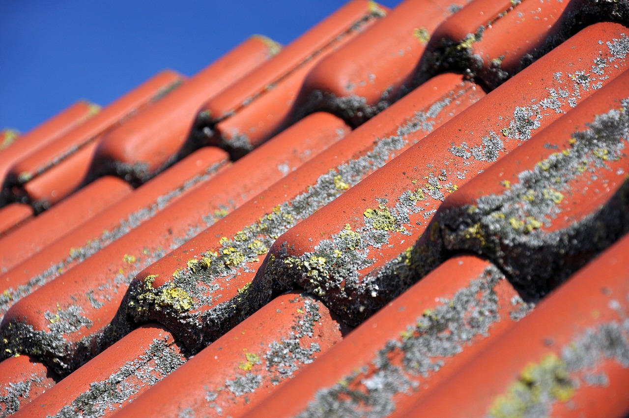 roof tile clay tiles free photo