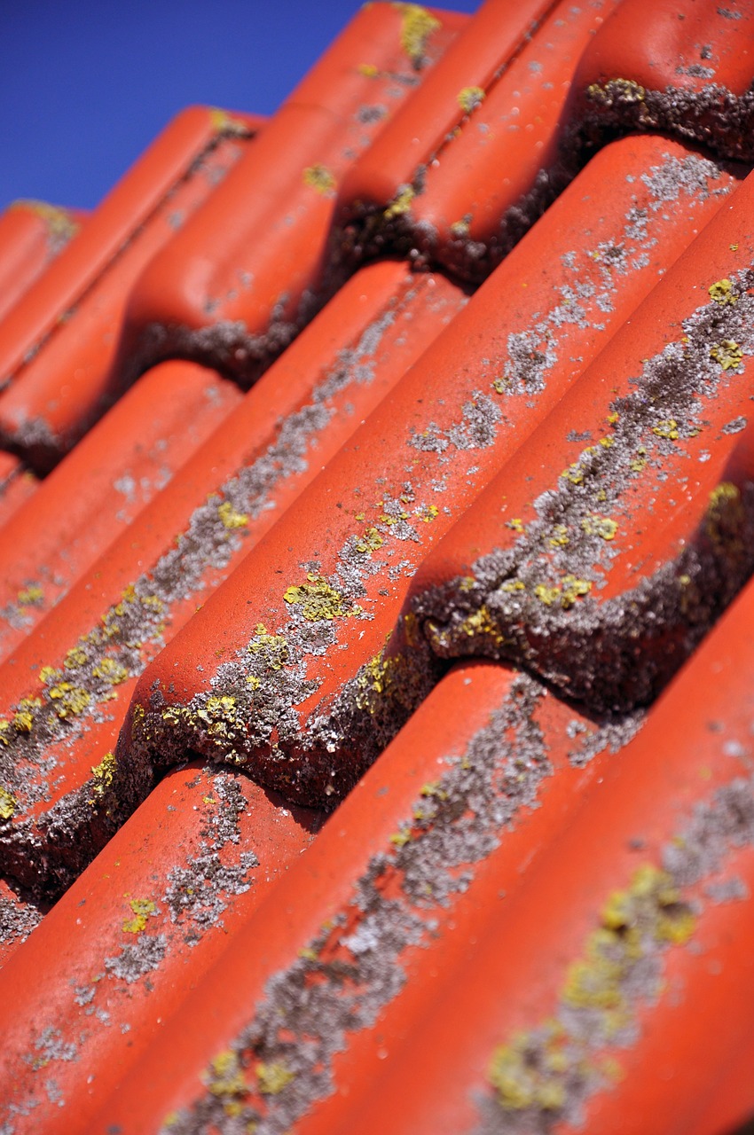 roof tile clay tiles free photo