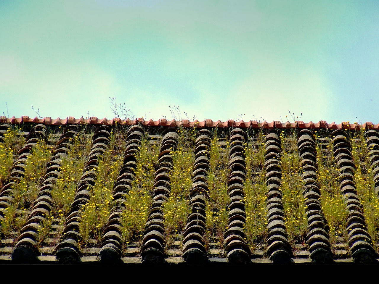 roof tile house free photo