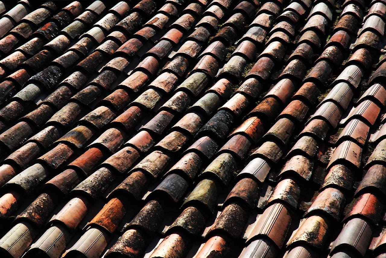roof tile europe free photo