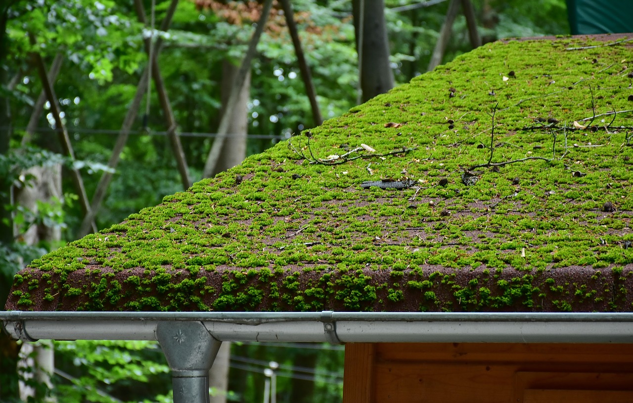 roof brick moss free photo