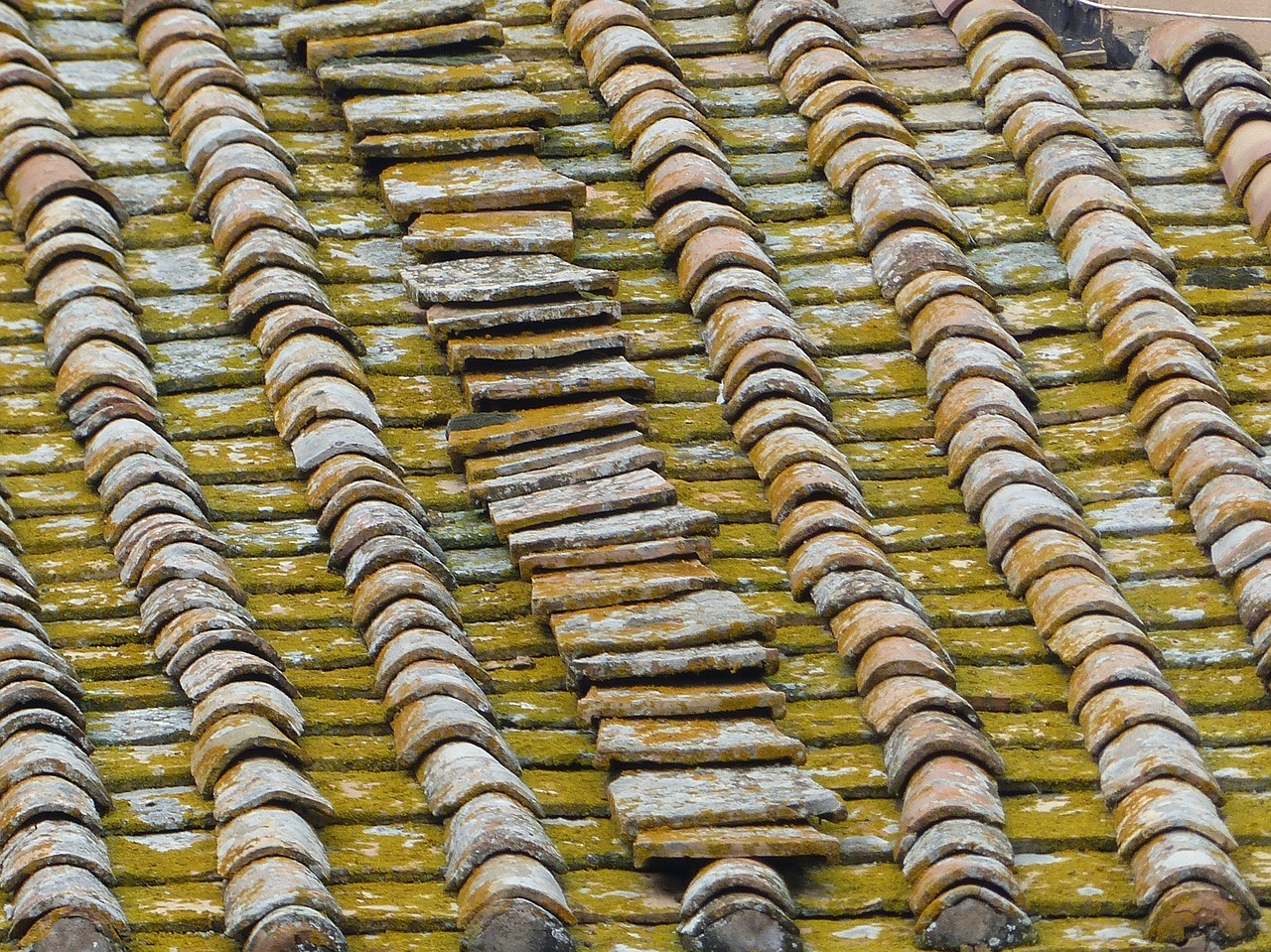 roof tiles terracotta free photo