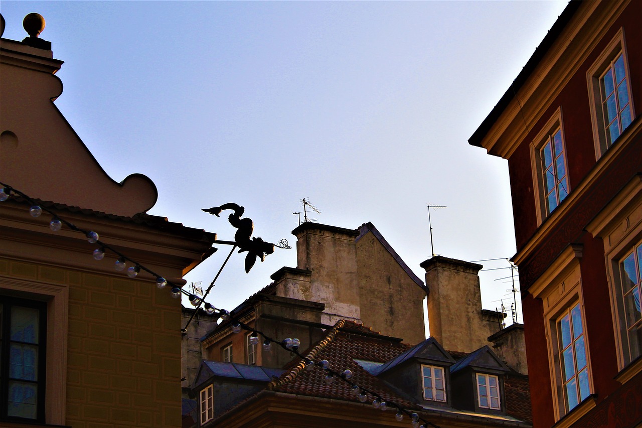 roof dragon over the rooftops free photo