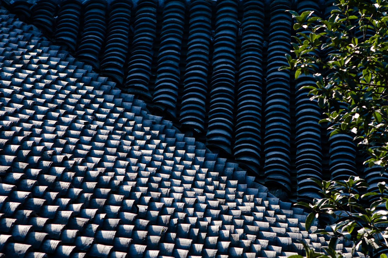 roof tiles line free photo