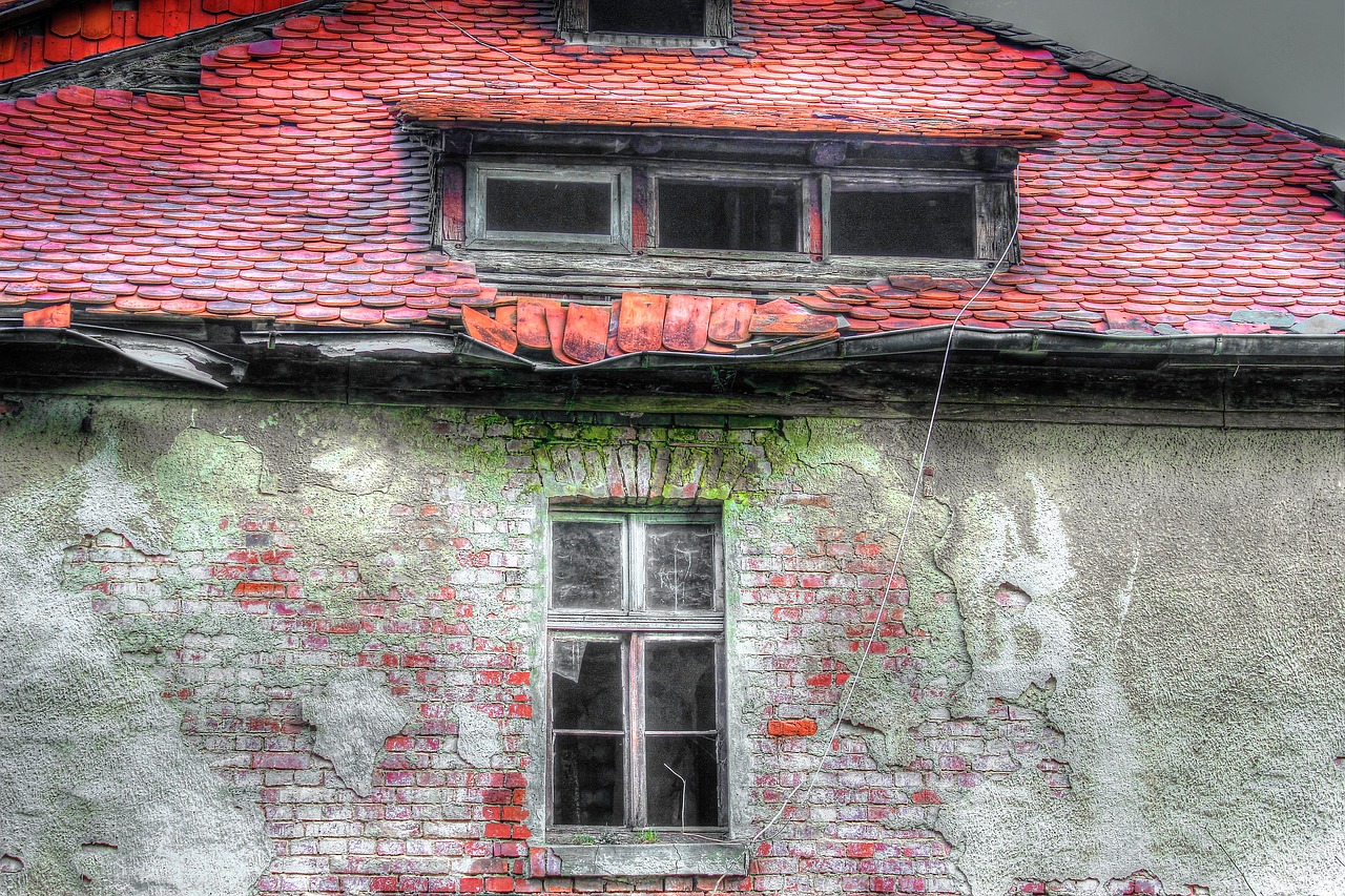 roof old beaver tails free photo