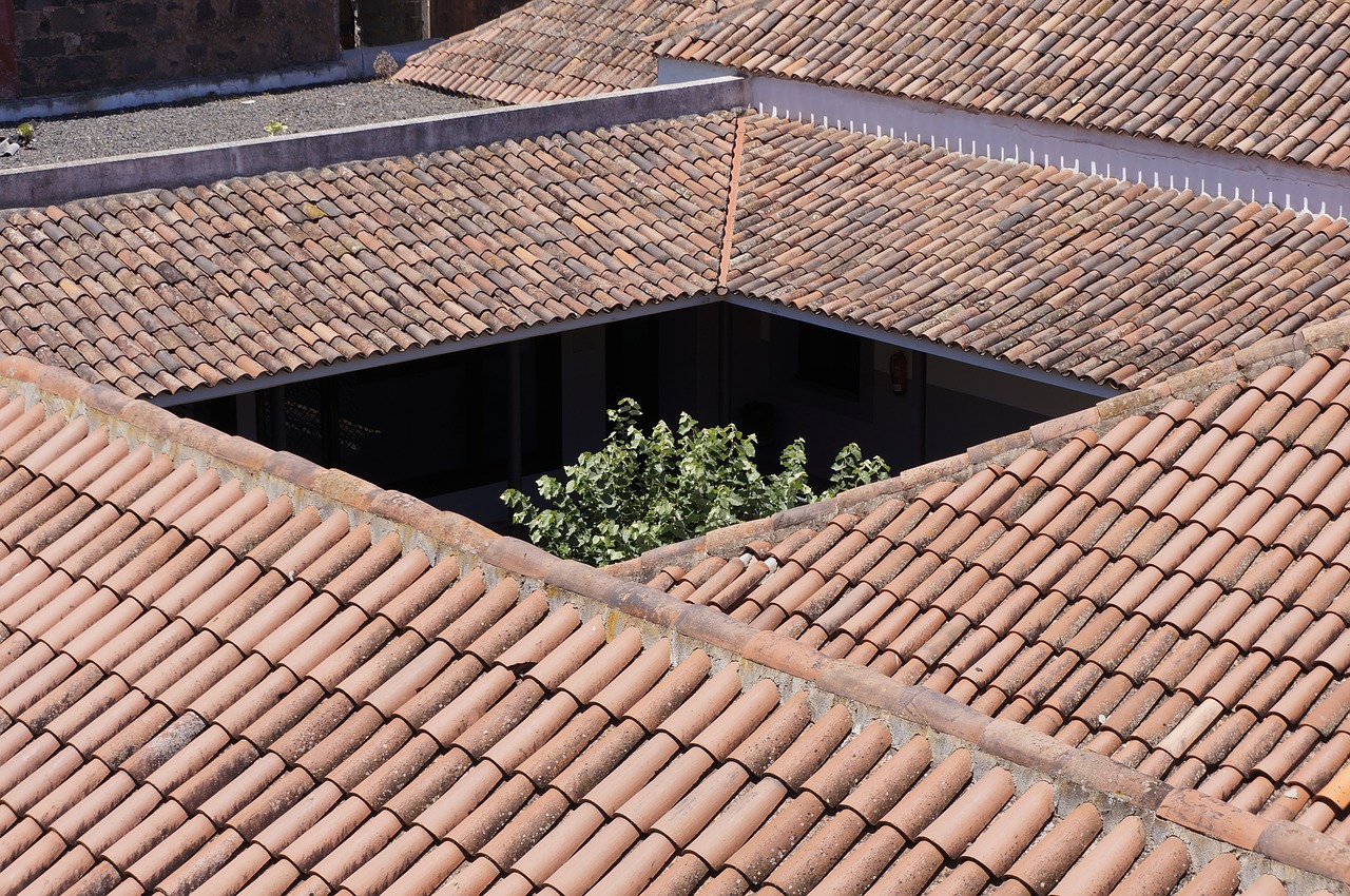 roof texas old building free photo