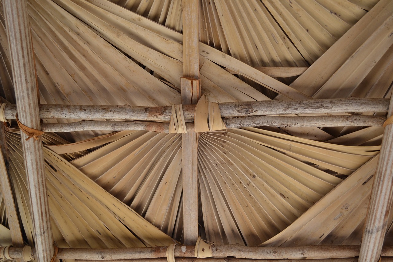 roof beige nature free photo