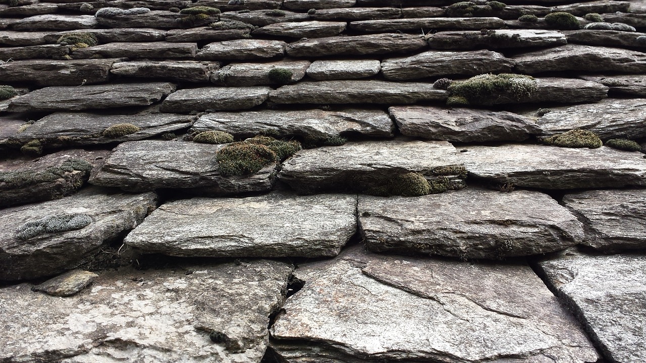 roof lee castle free photo