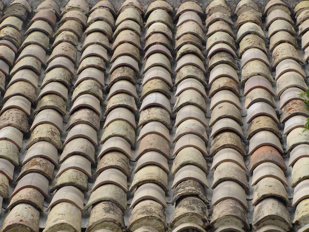 roof tiles terracotta free photo
