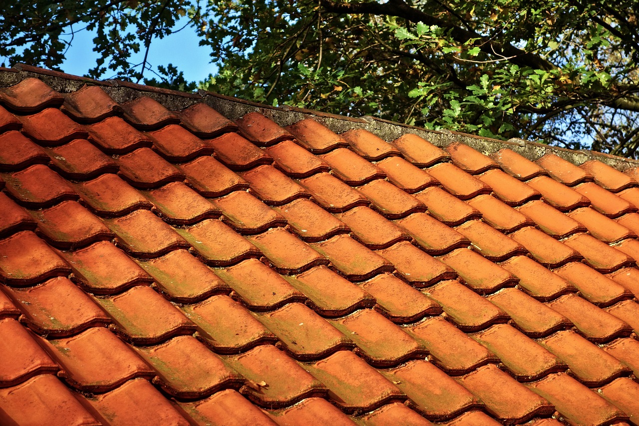 roof tiles roof tile free photo