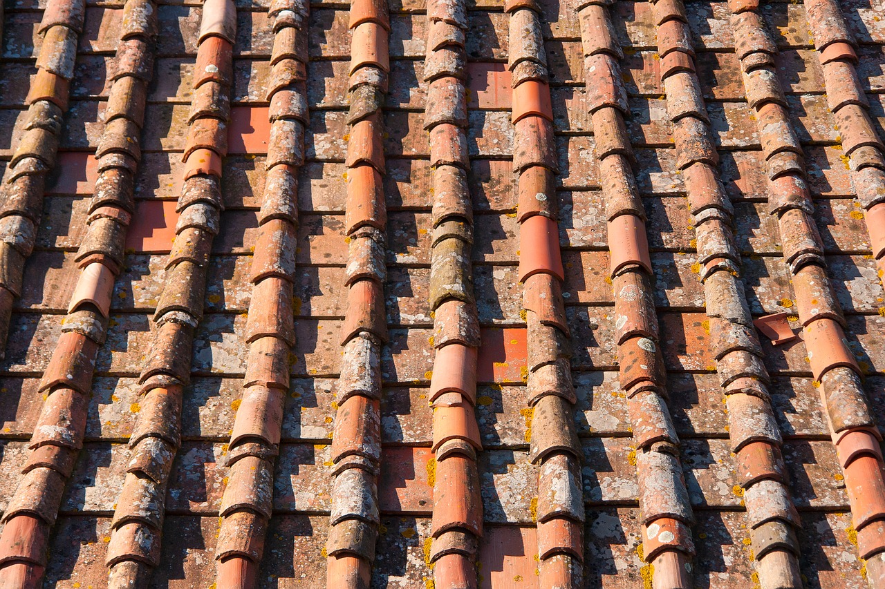 roof tile house free photo