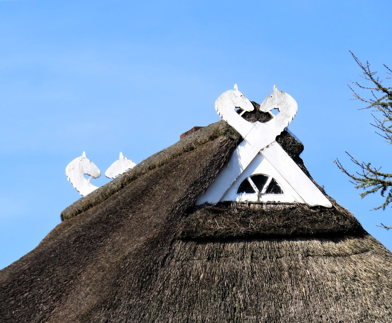 roof thatched roof architecture free photo