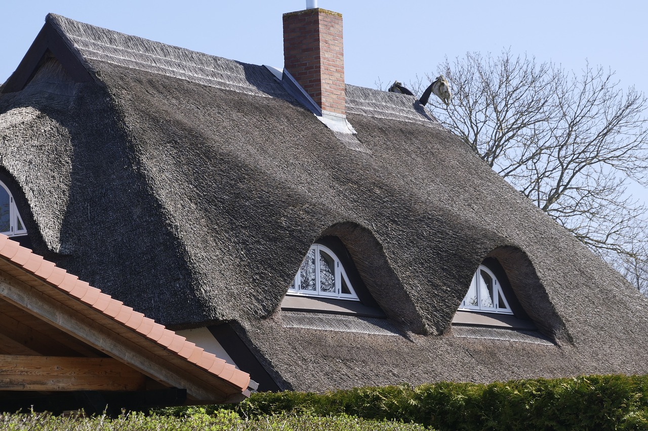 roof  thatched roof  thatched free photo