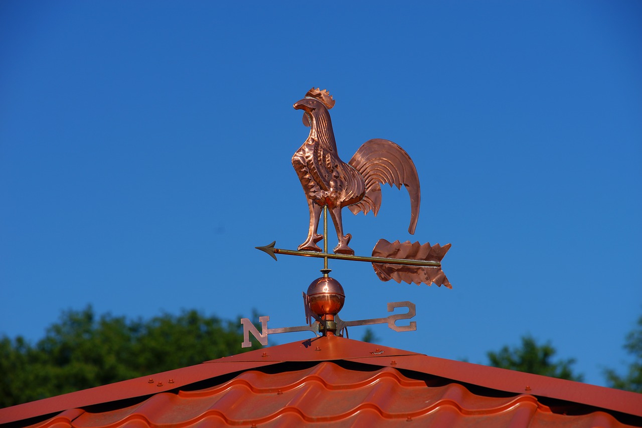 roof  house  weather vane free photo