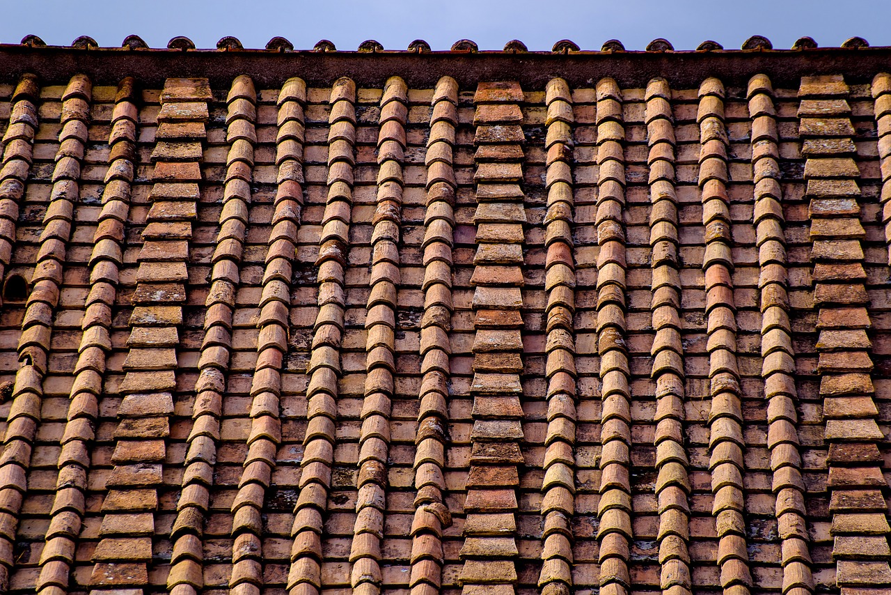 roof  roofing  tiles free photo