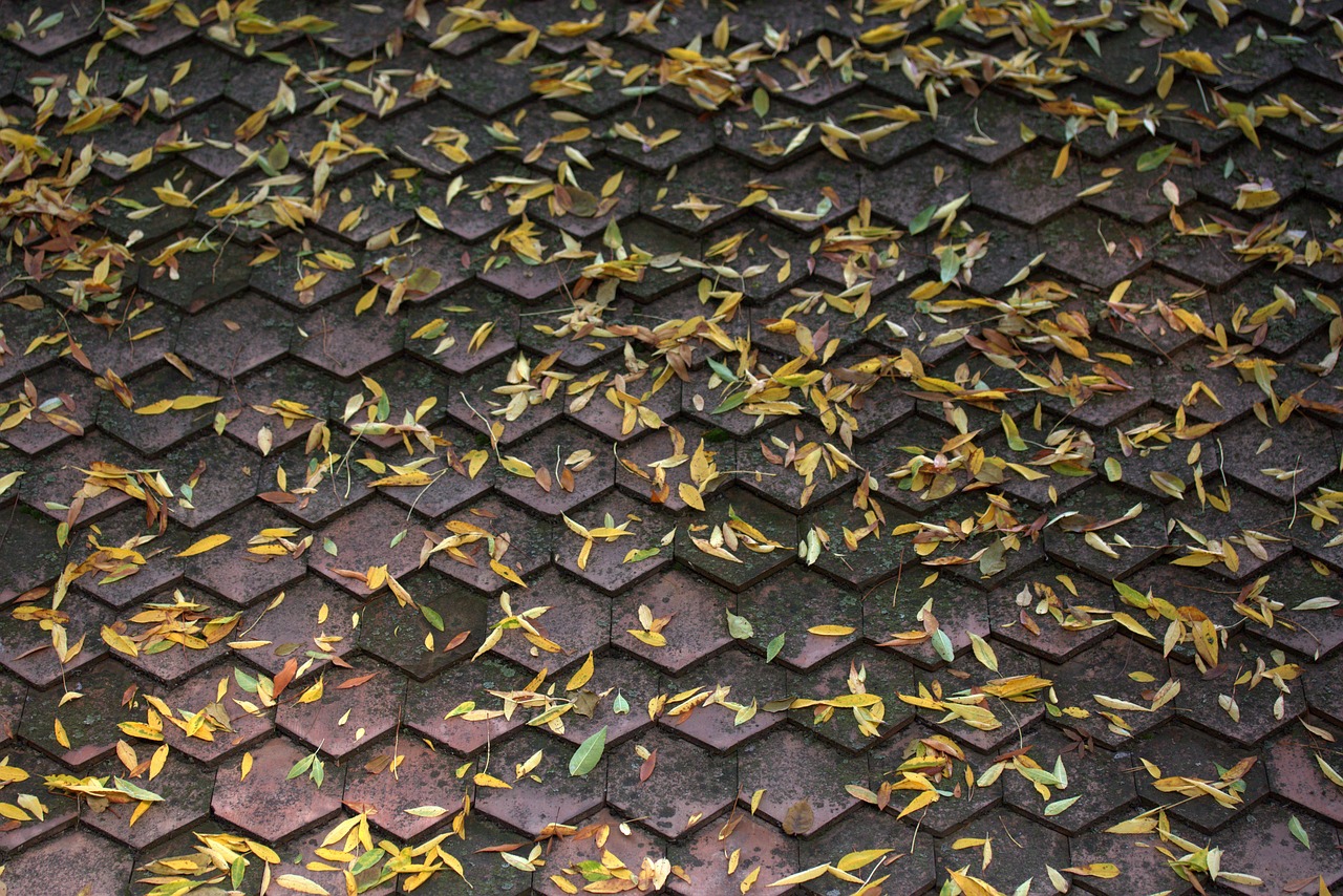 roof  leaves  yellow free photo