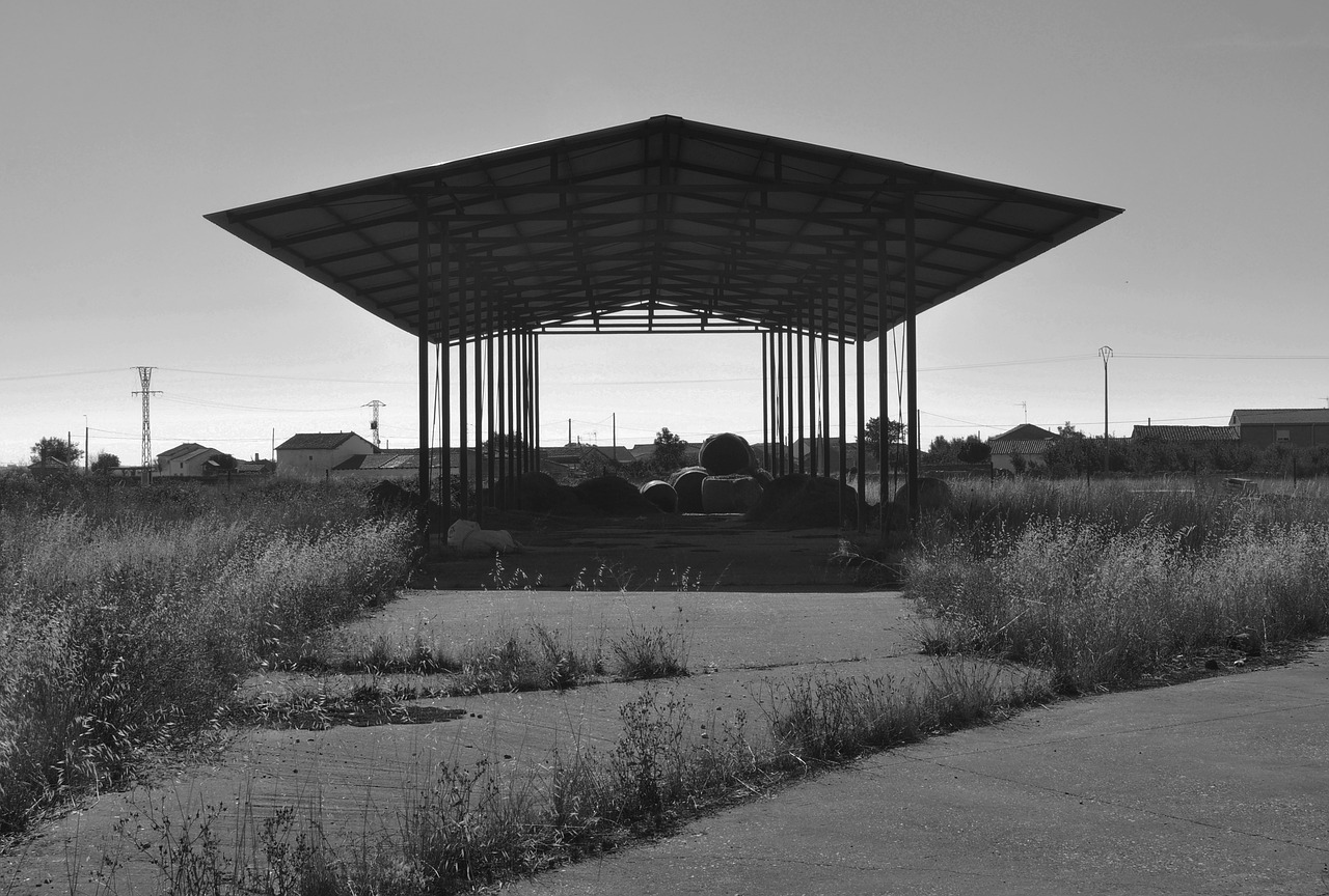 roof  hall  construction free photo