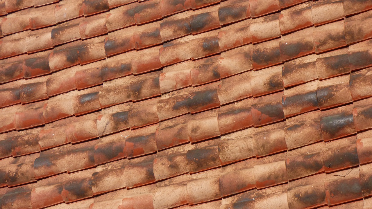 roof  tiles  red free photo