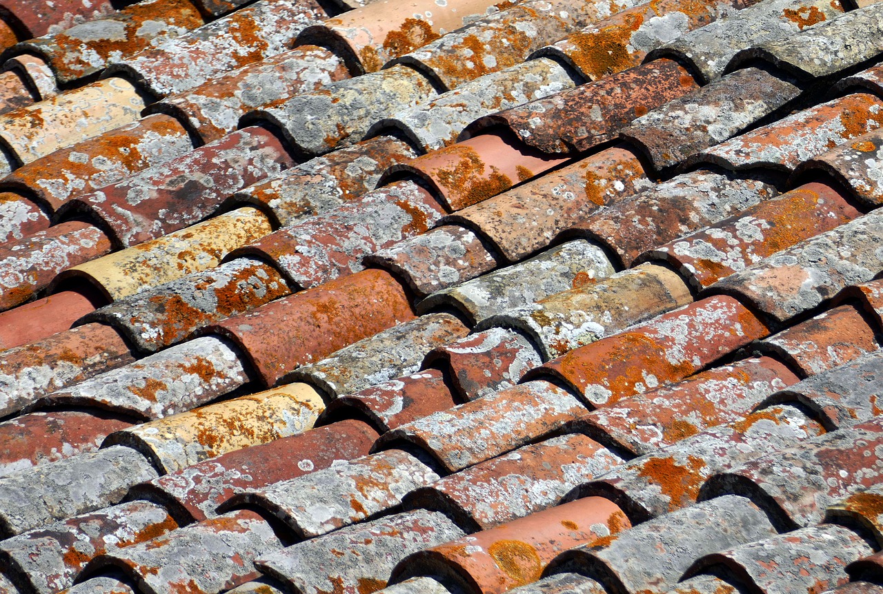 roof  brick  tile free photo