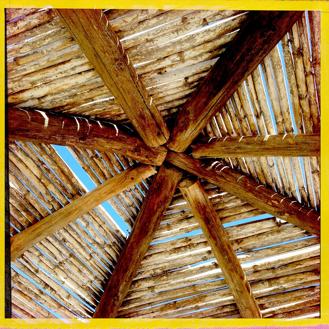 roof wood tropical free photo