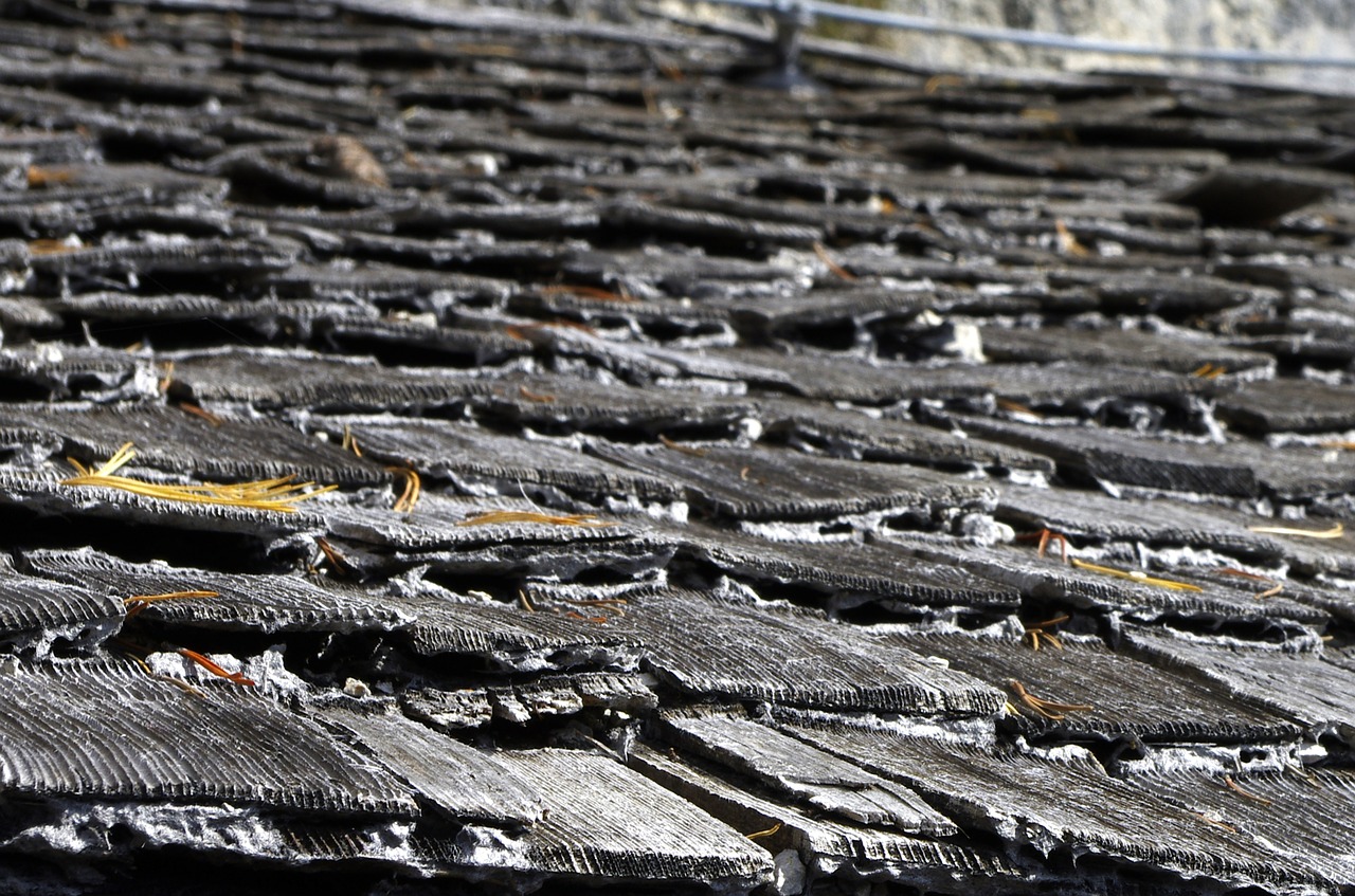 roof shingle wood shingle free photo