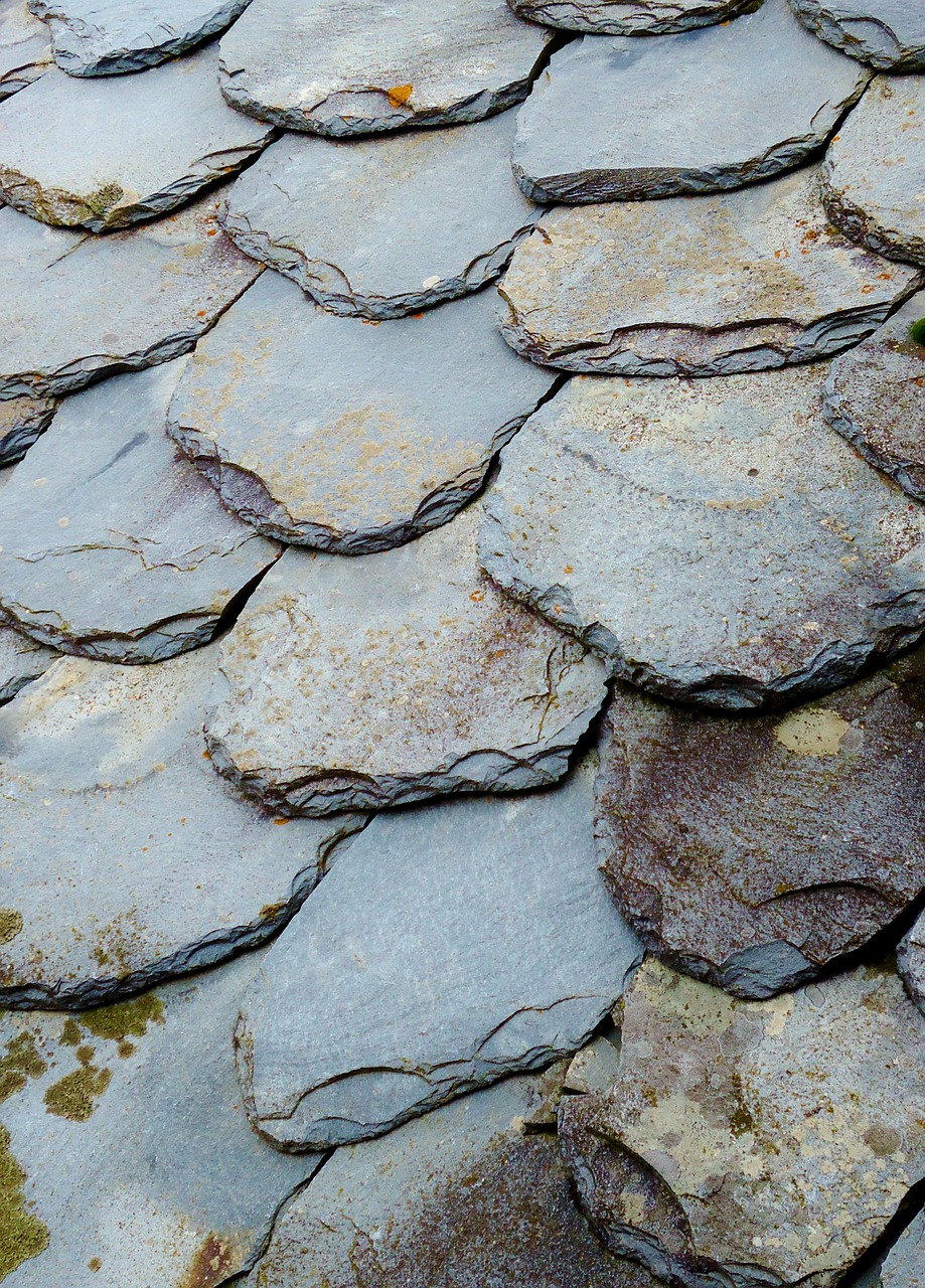 roof slate pierre free photo