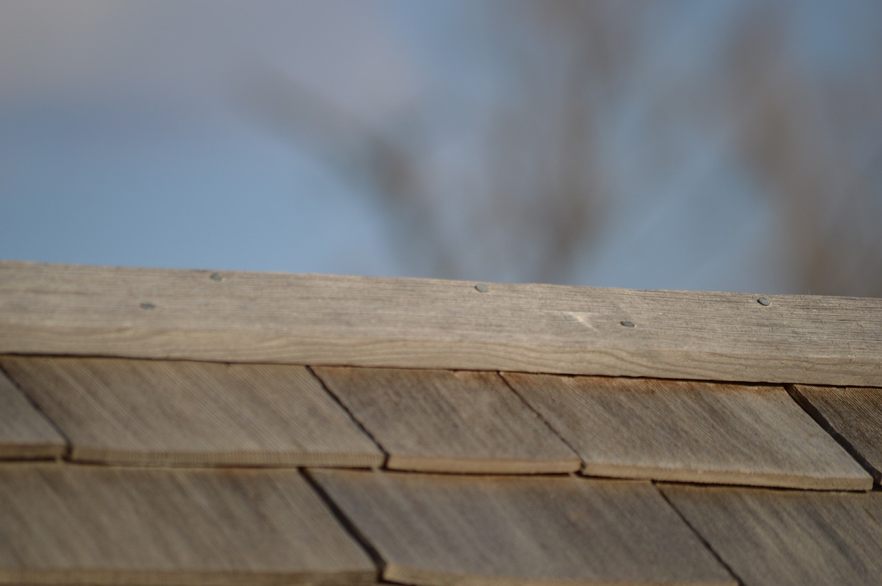 roof shingles wood free photo