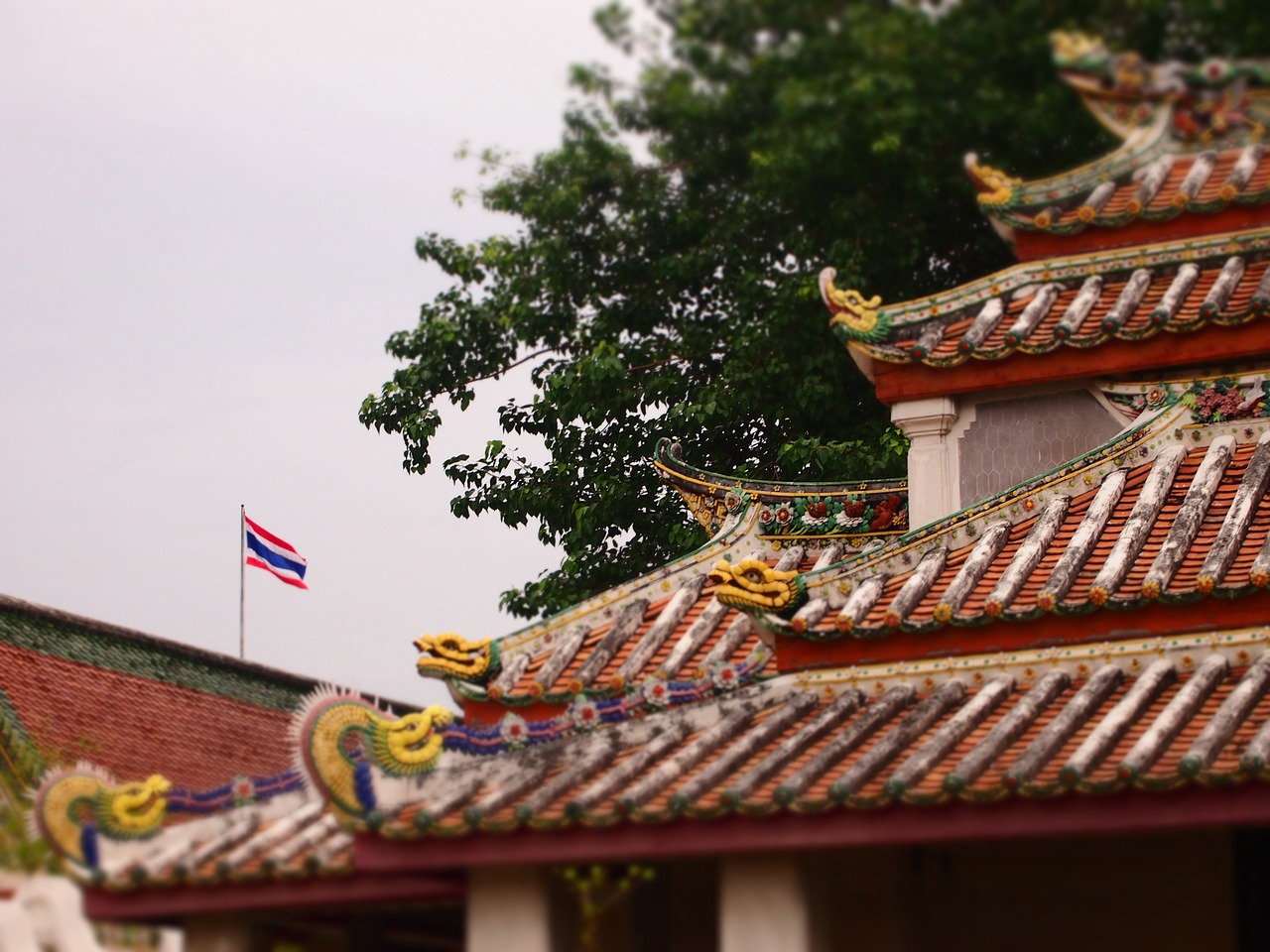 roof temple dragons free photo