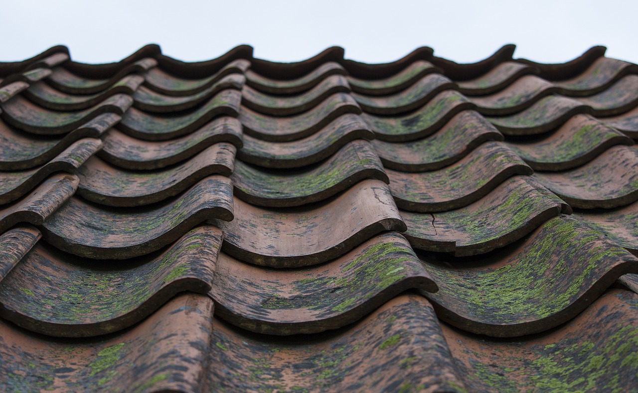 roof tile roofing tile free photo