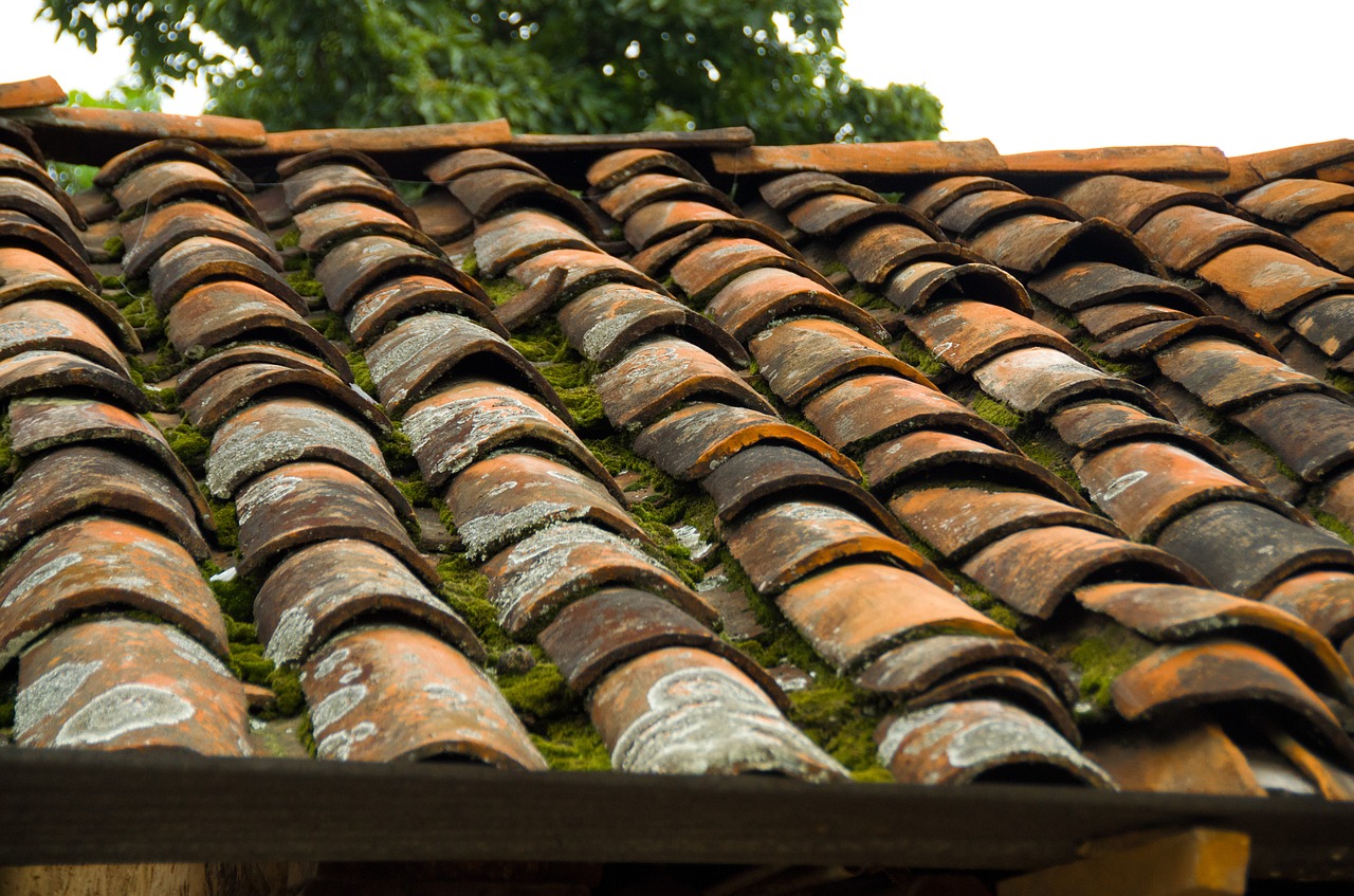 roof tile rustic free photo