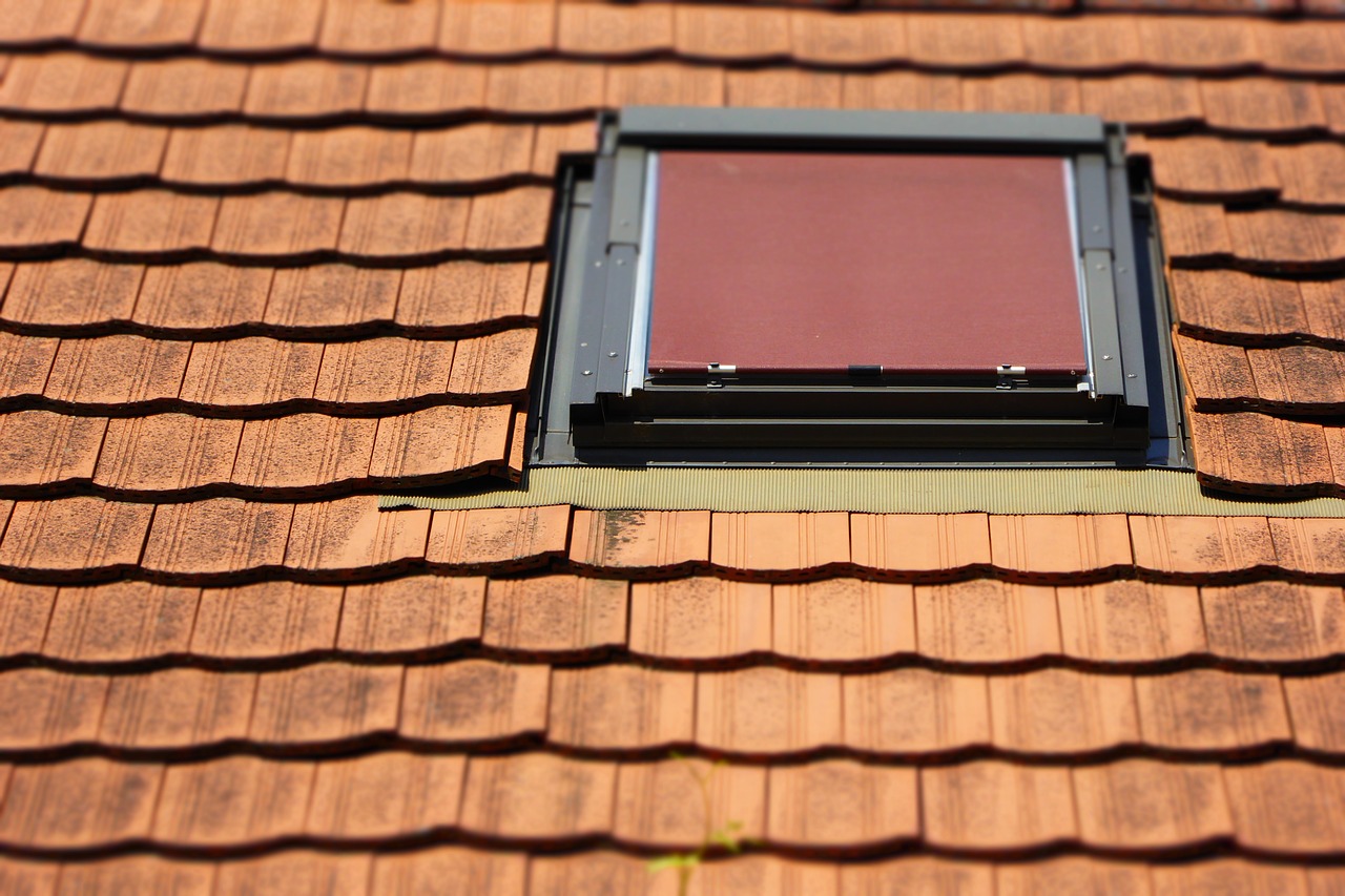 roof roof windows brick free photo