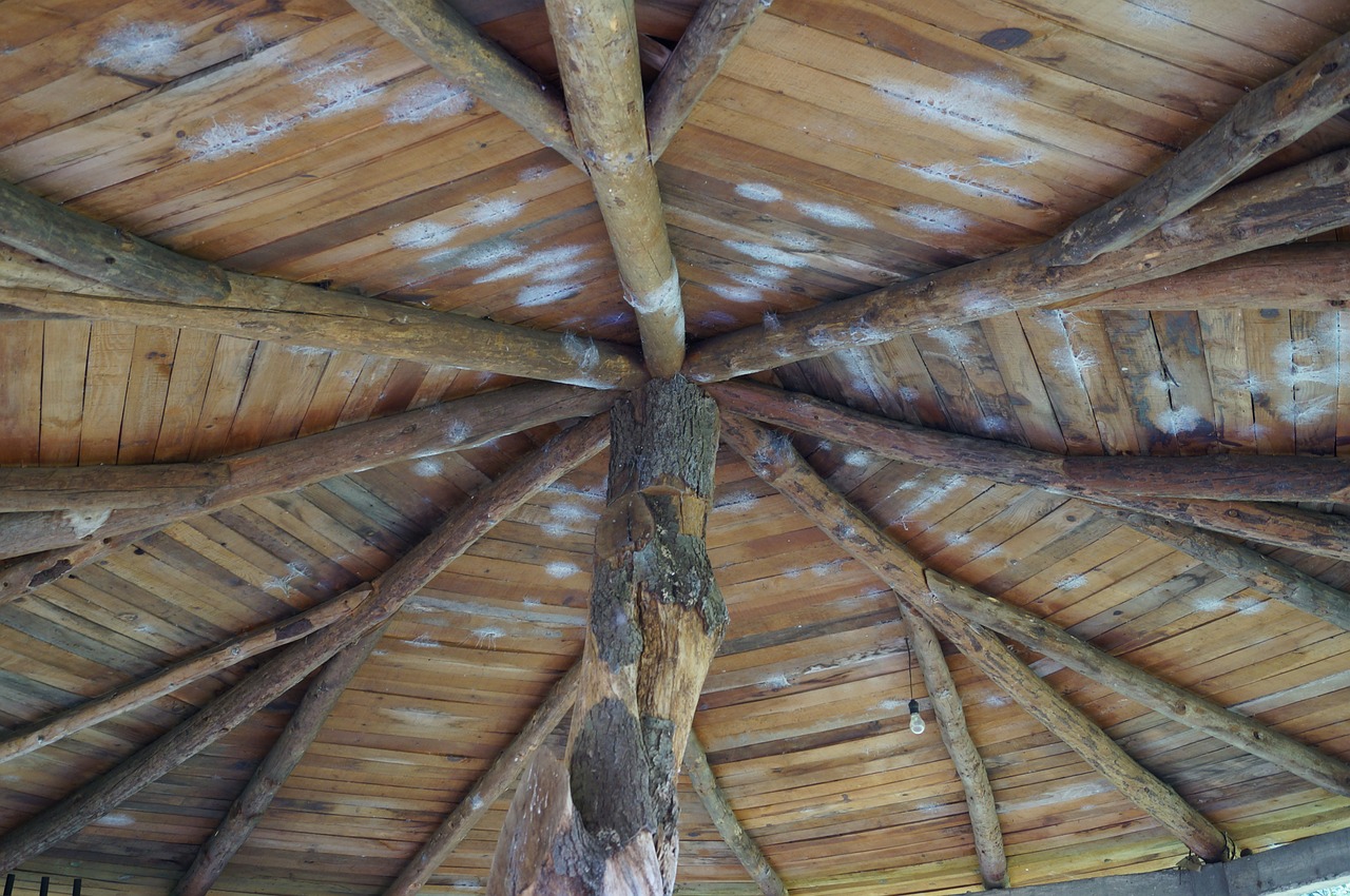 roof ceiling wood free photo