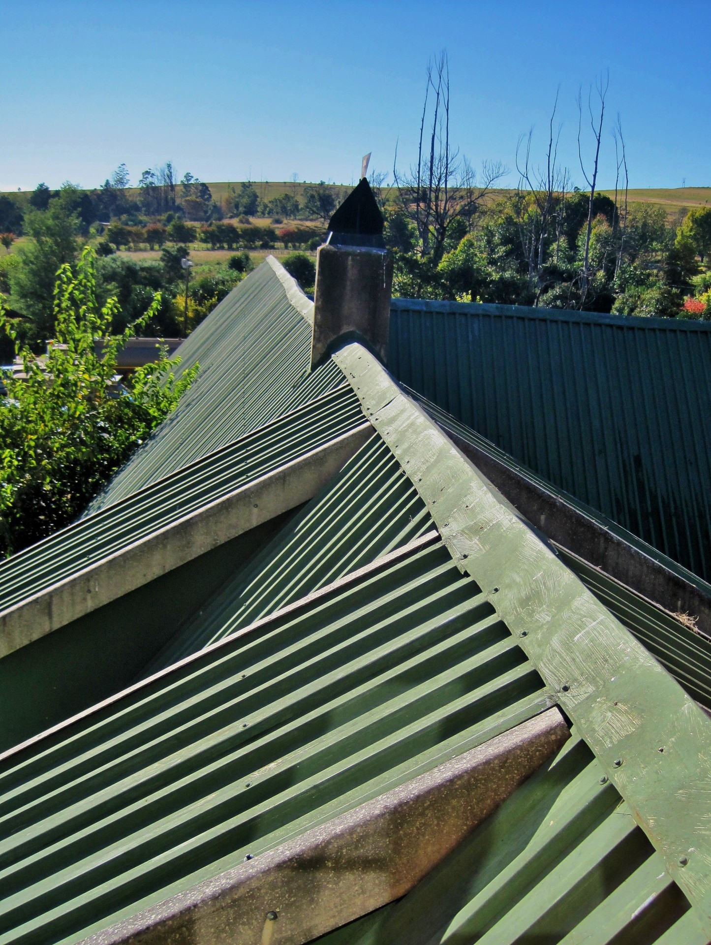 building roof green free photo