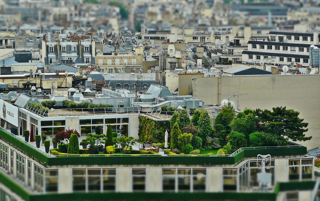 roof terrace roof garden architecture free photo