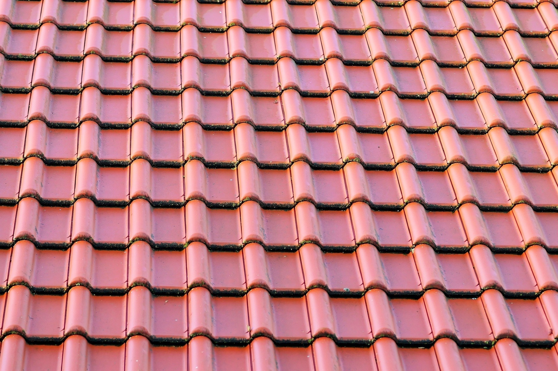 roof tiles red free photo