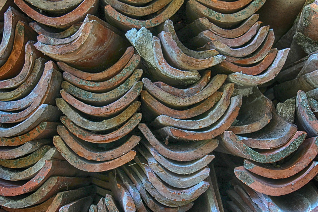 roof tiles roof tile free photo