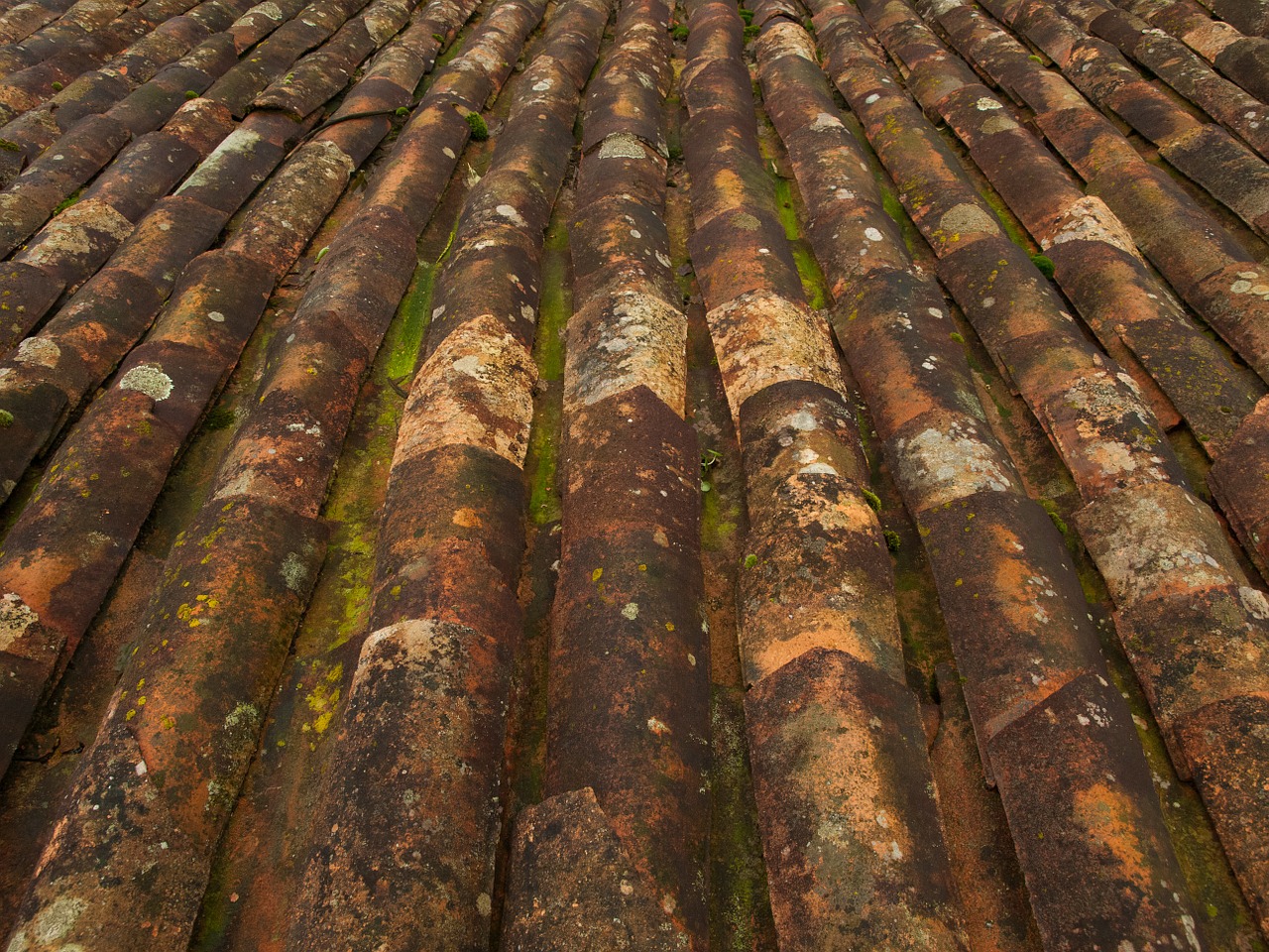 roof tiles pattern old free photo