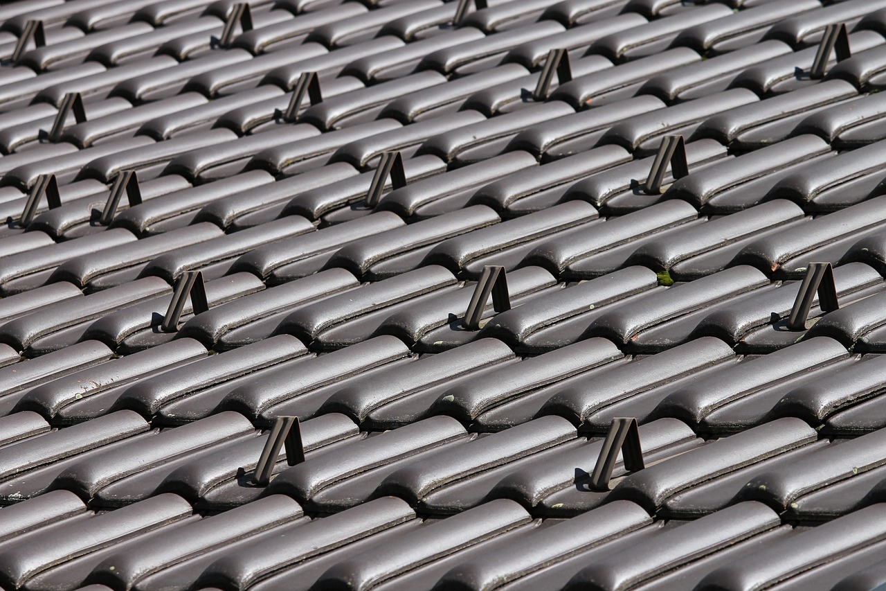roof tiles  roof  covered free photo
