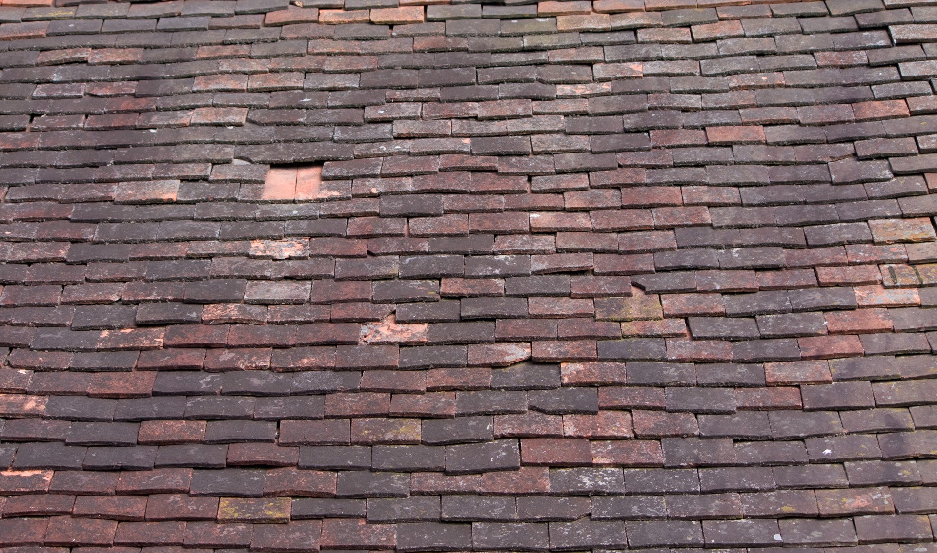 roof tiles tiles roof free photo