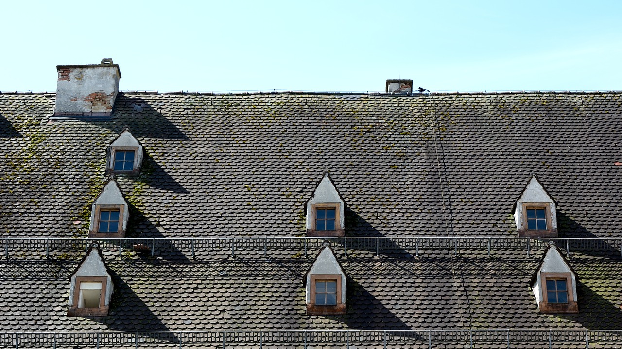 roof windows window roof free photo