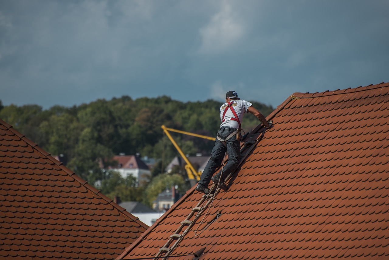 roofers roof roofing free photo