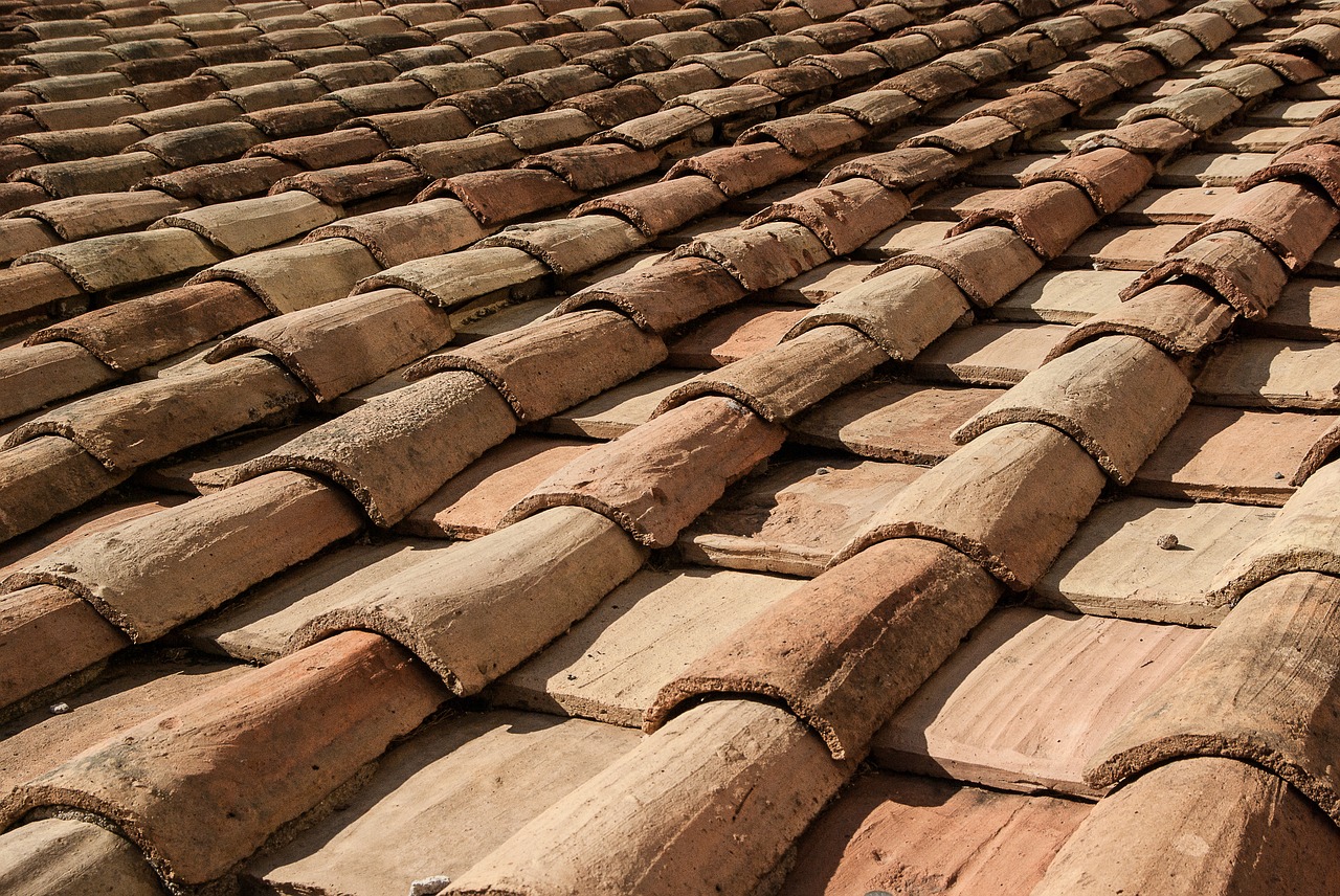 roofing tiles terracotta free photo