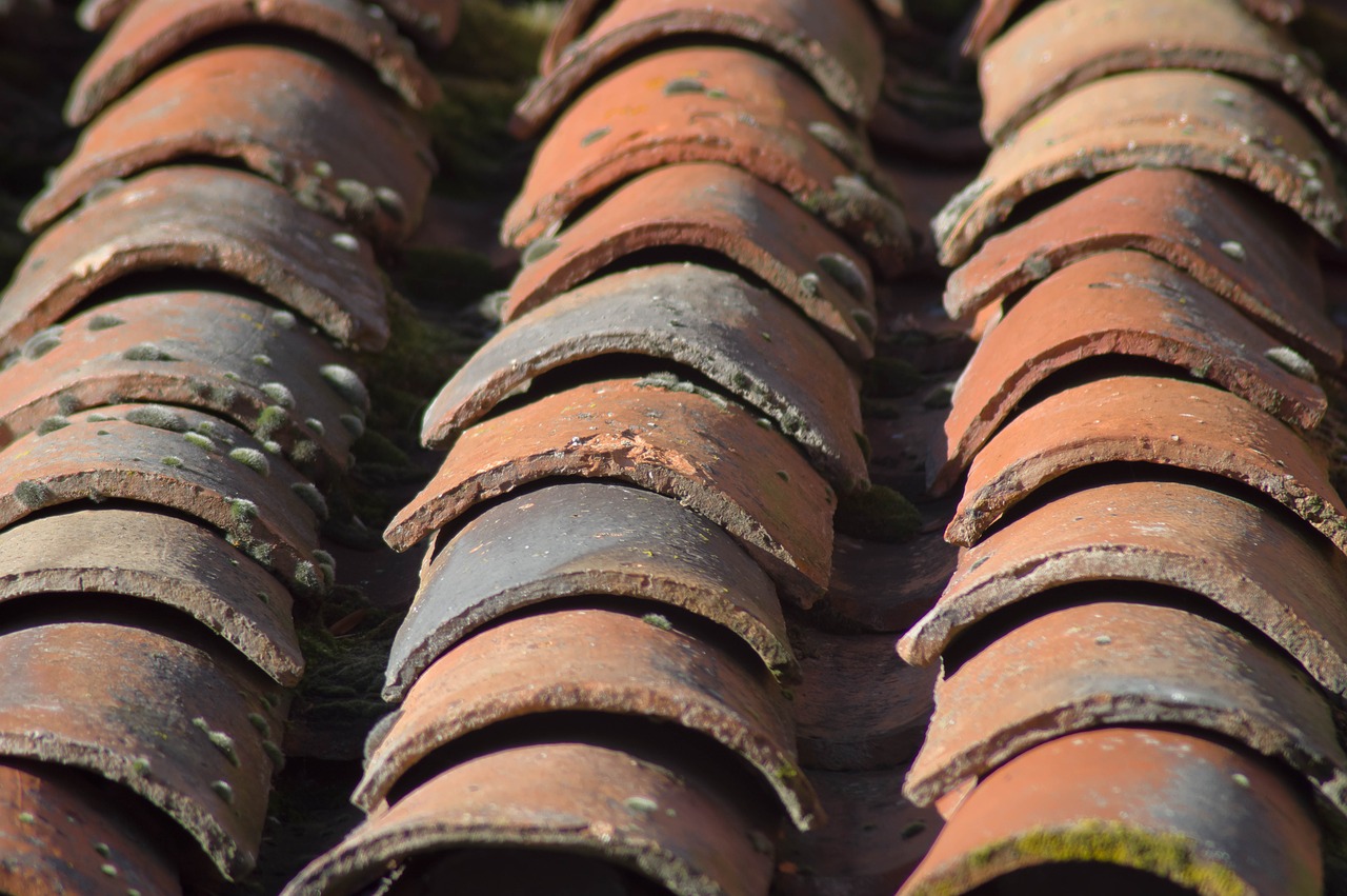 roofing  tiles  texture free photo