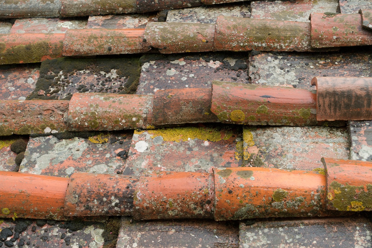 roofing roof brick free photo