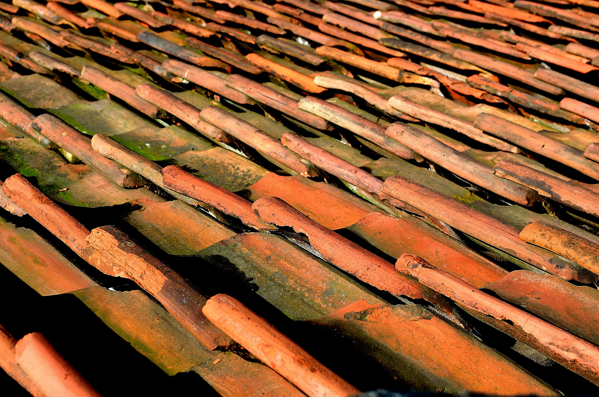 roofing roof architecture free photo