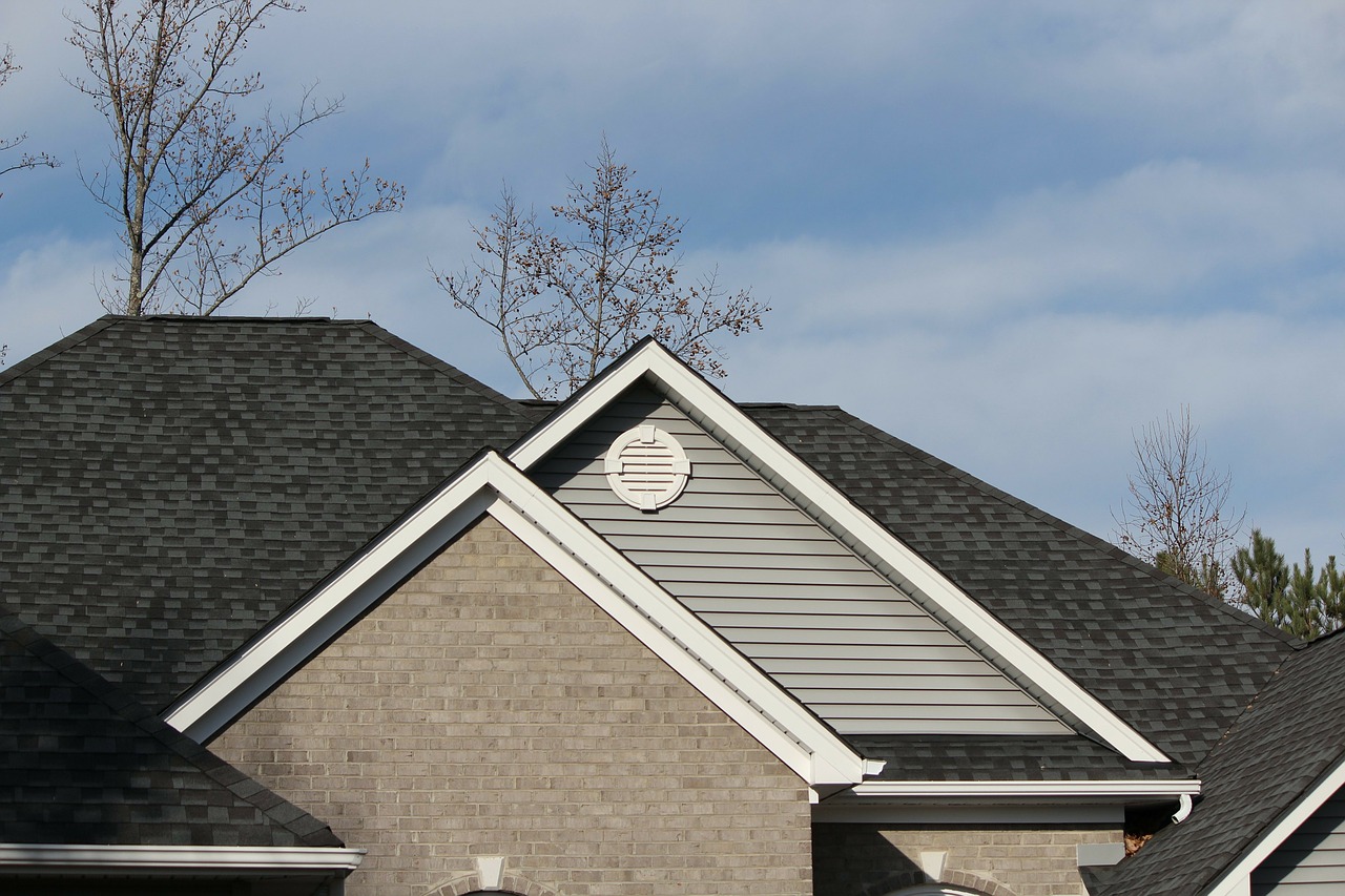 roofline shingles architectural style free photo