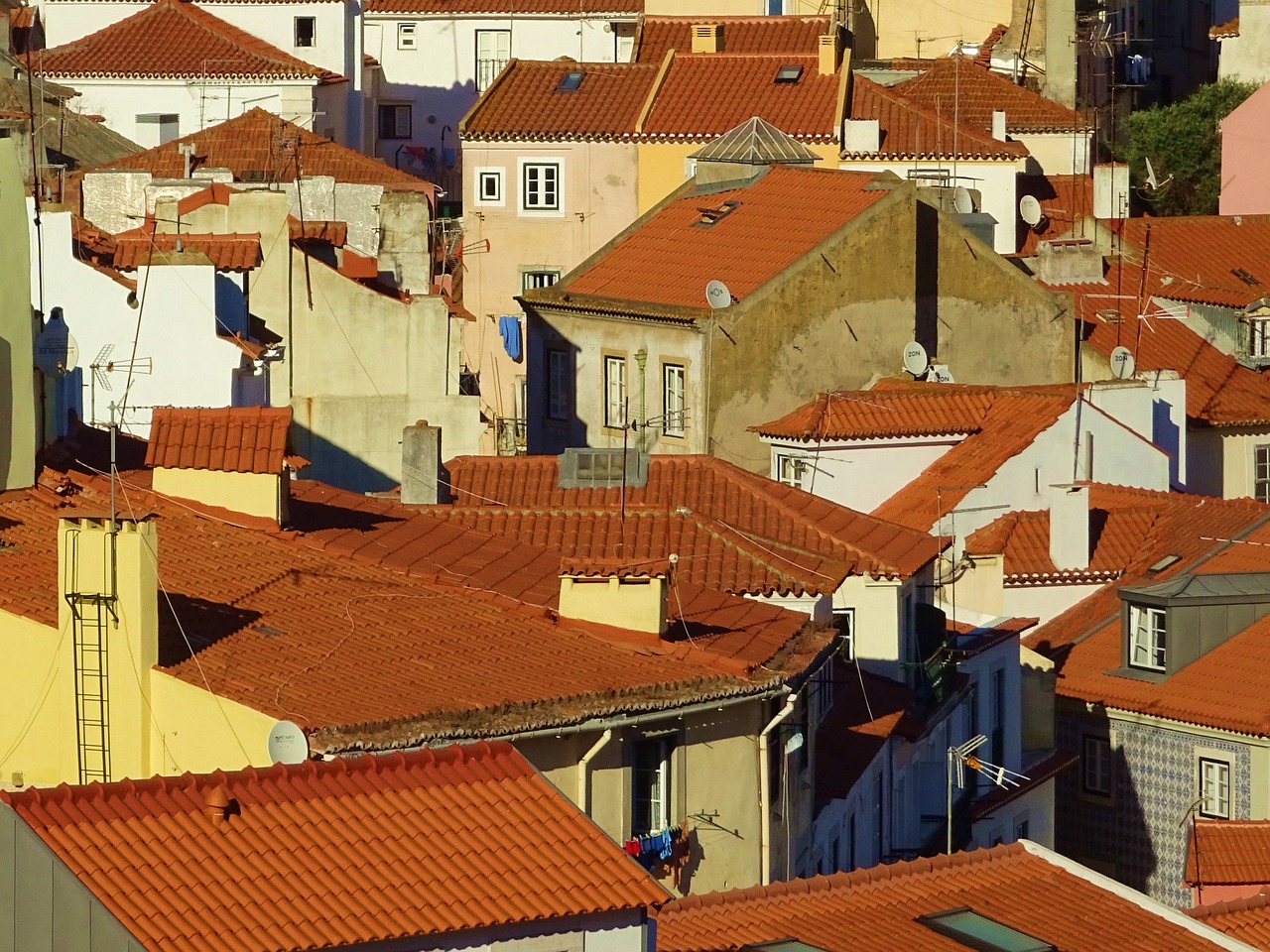 roofs tile lisbon free photo