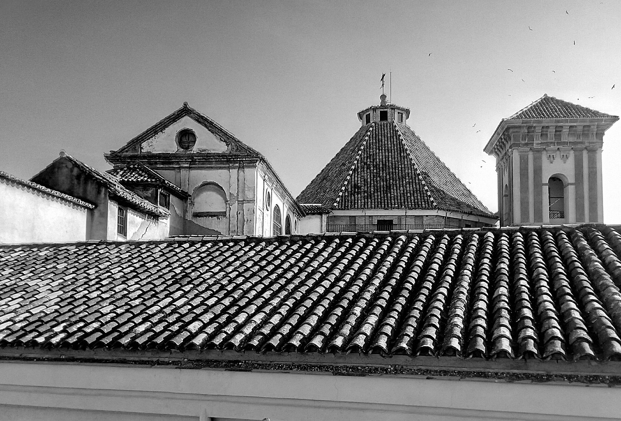 roofs dome buildings free photo