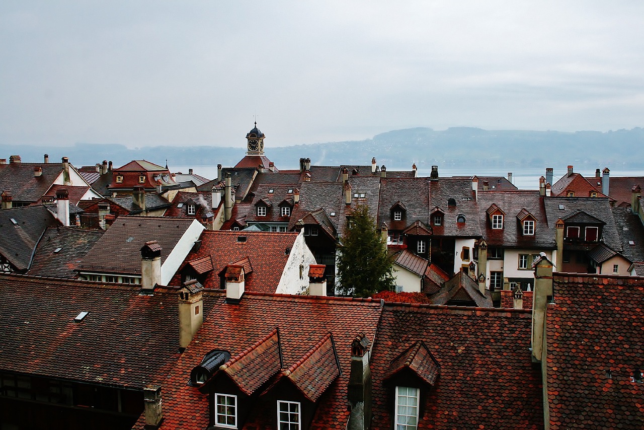 roofs  city  roof free photo