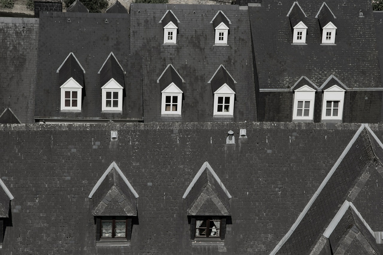 roofs houses window free photo